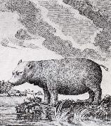 unknow artist hippopotamus,flodhasten eller sjokon,som den ocksa kallades oil painting on canvas
